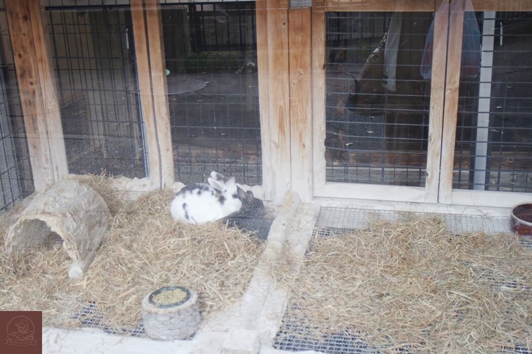 井之頭公園動物園