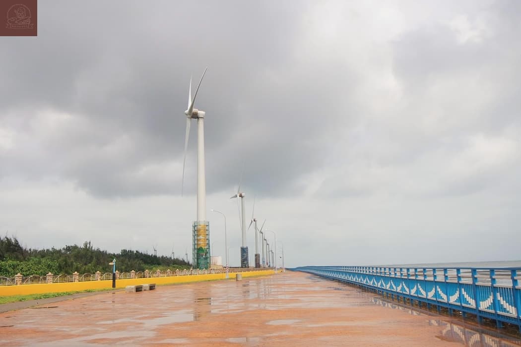 高美濕地附近景點
