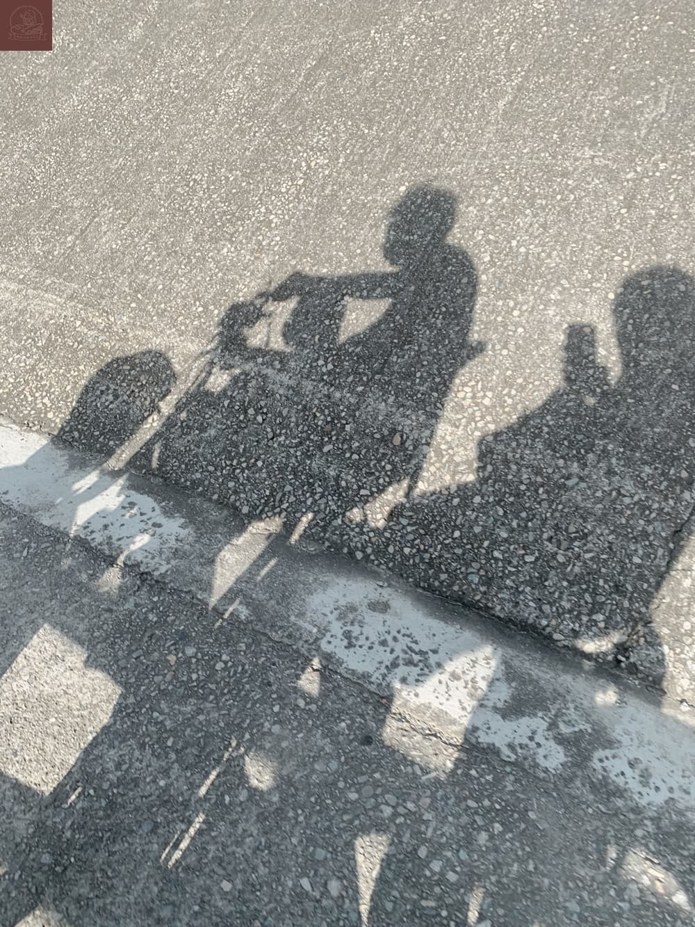 高美濕地附近景點
