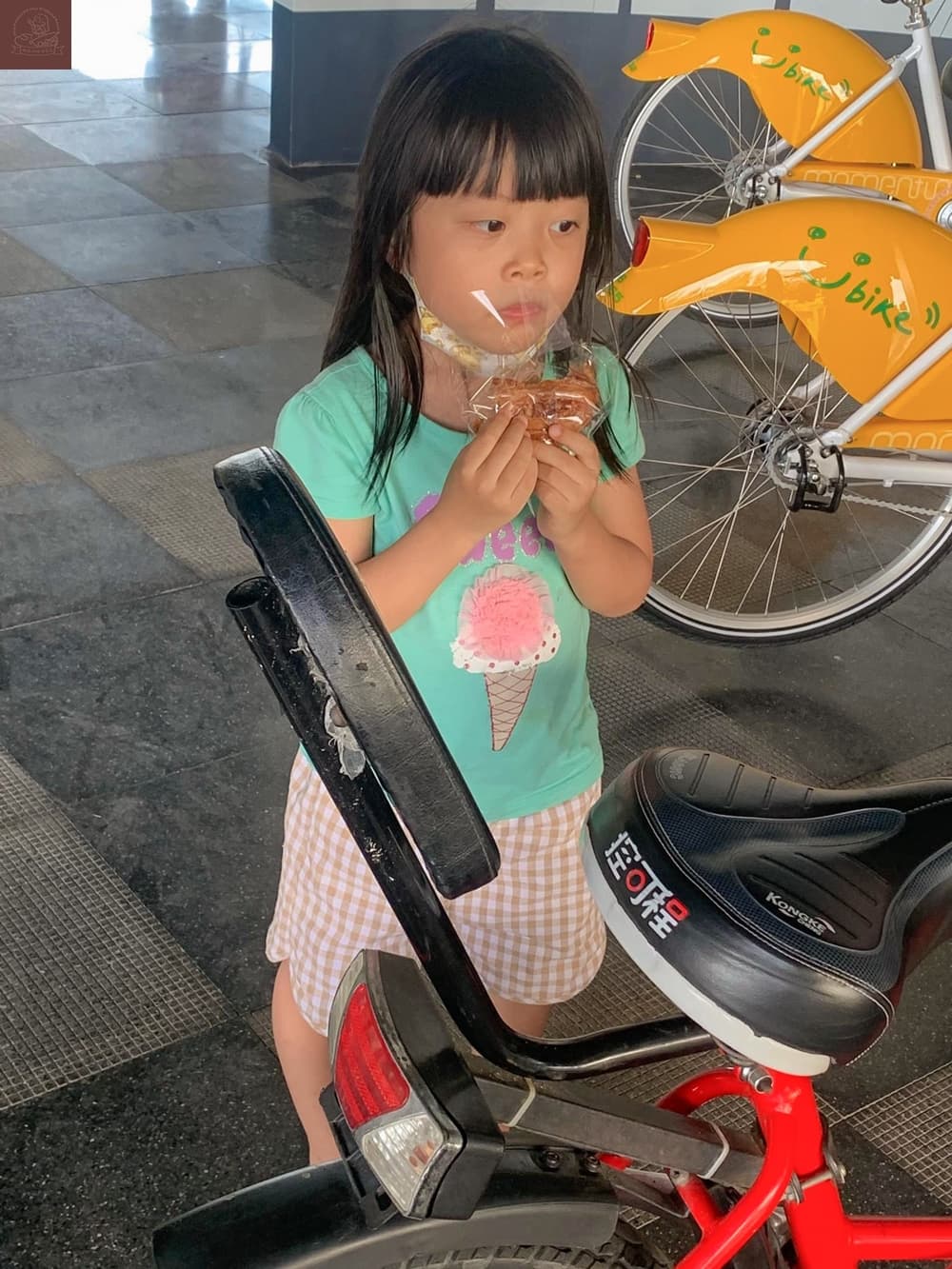 高美濕地附近景點
