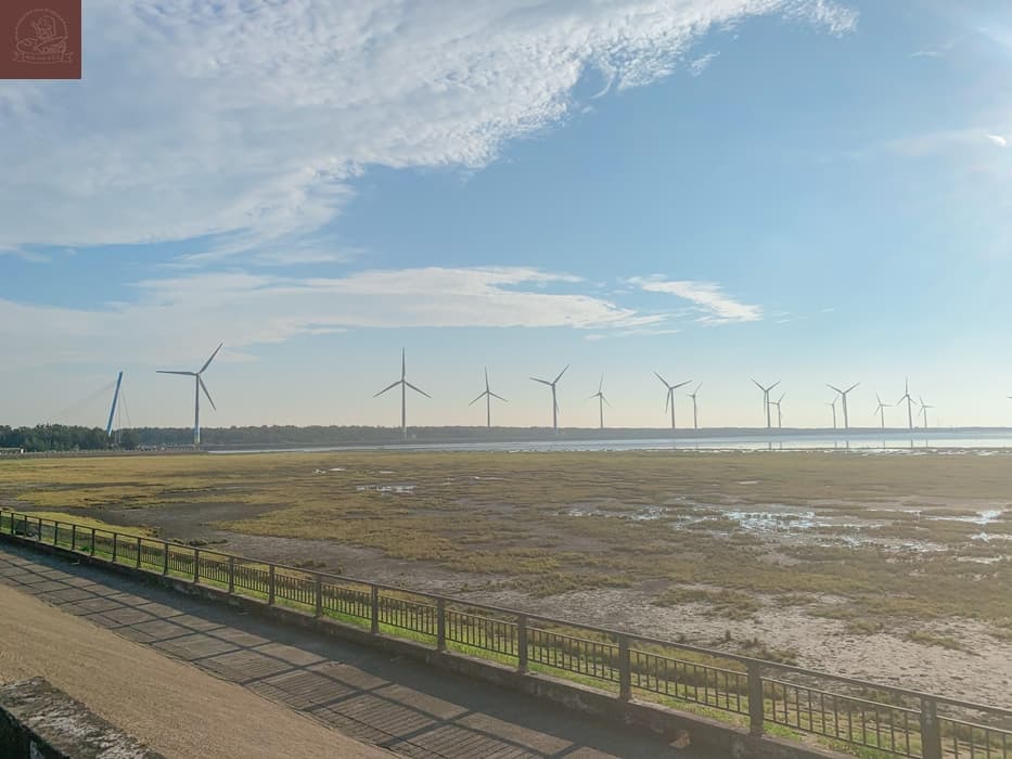 高美濕地附近景點
