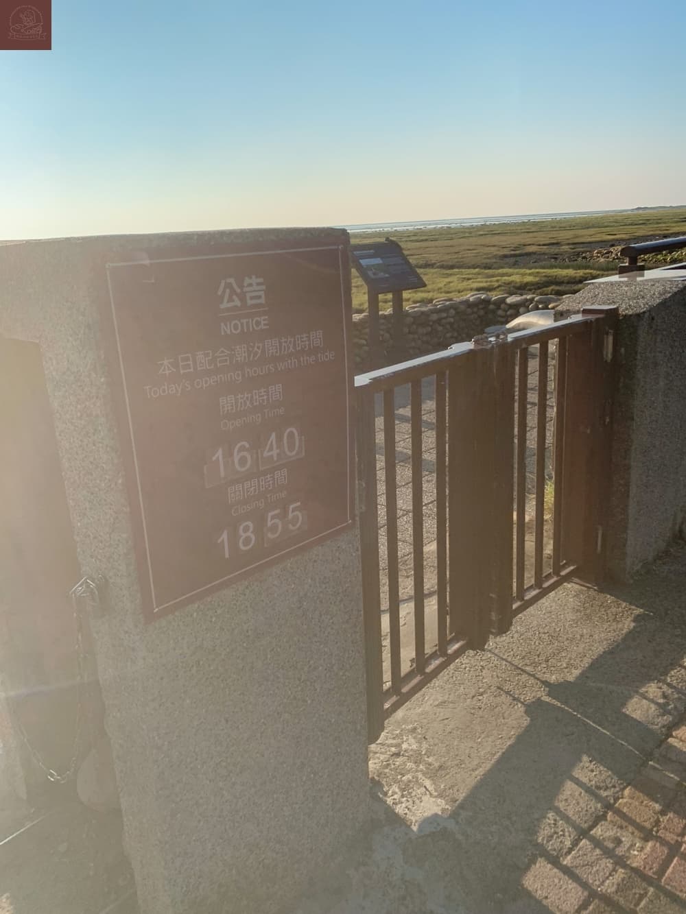 高美濕地附近景點
