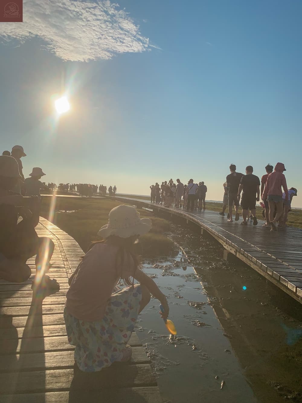 高美濕地附近景點
