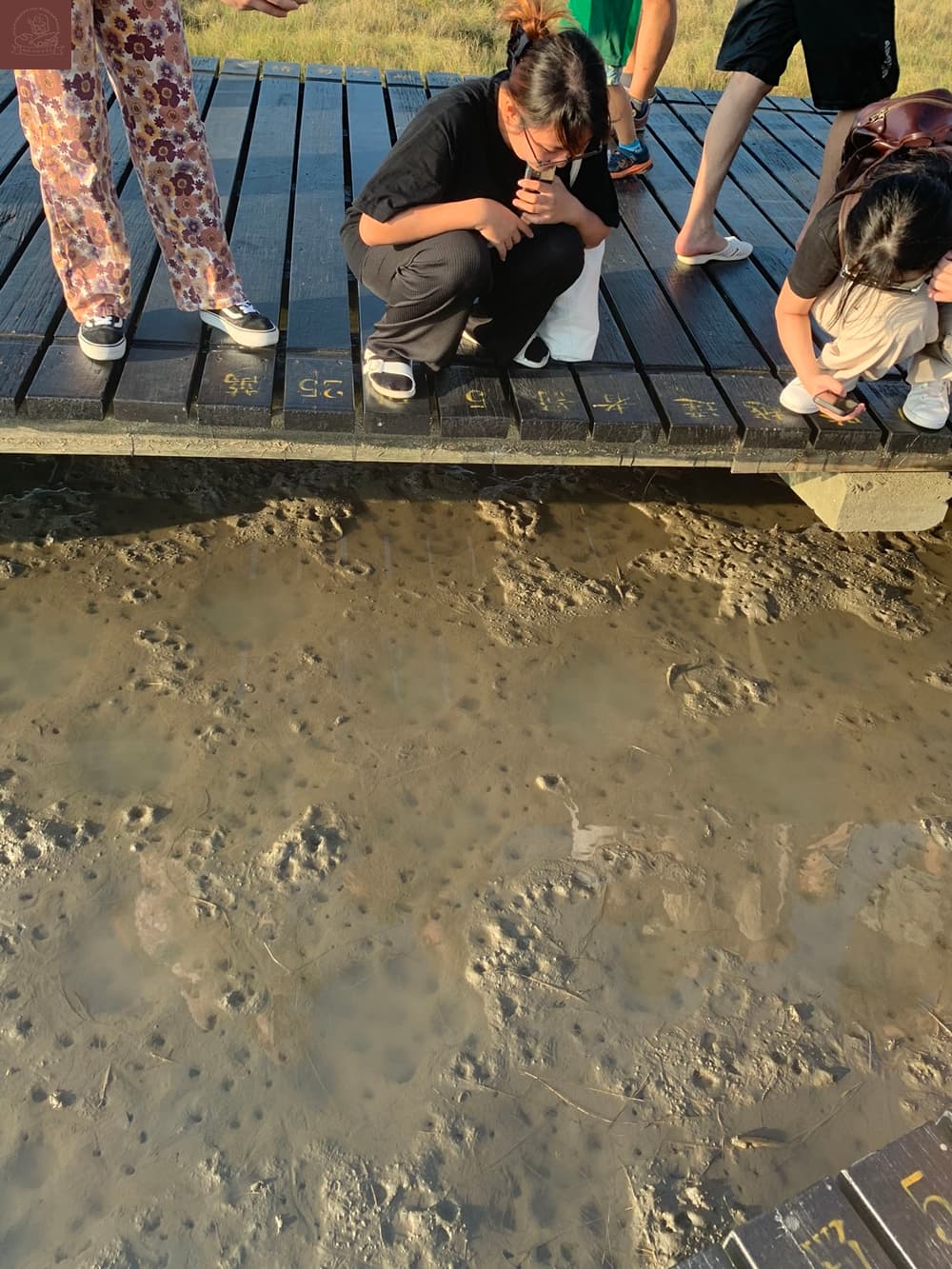 高美濕地附近景點
