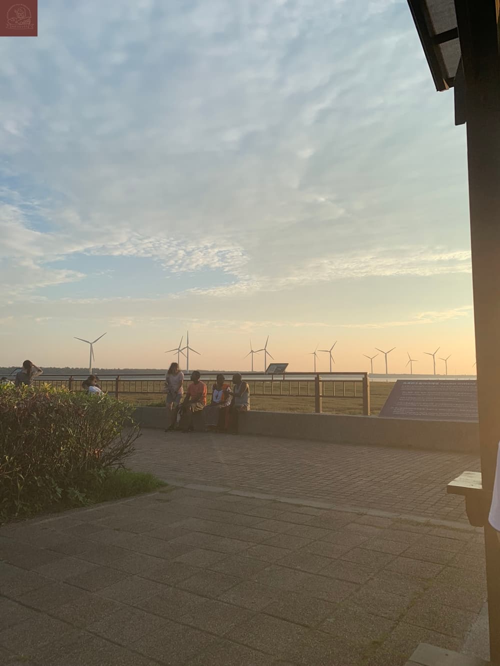 高美濕地附近景點
