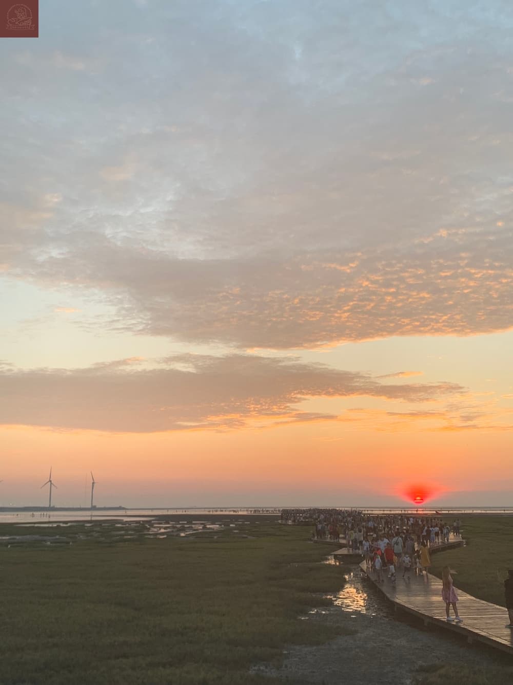 高美濕地附近景點
