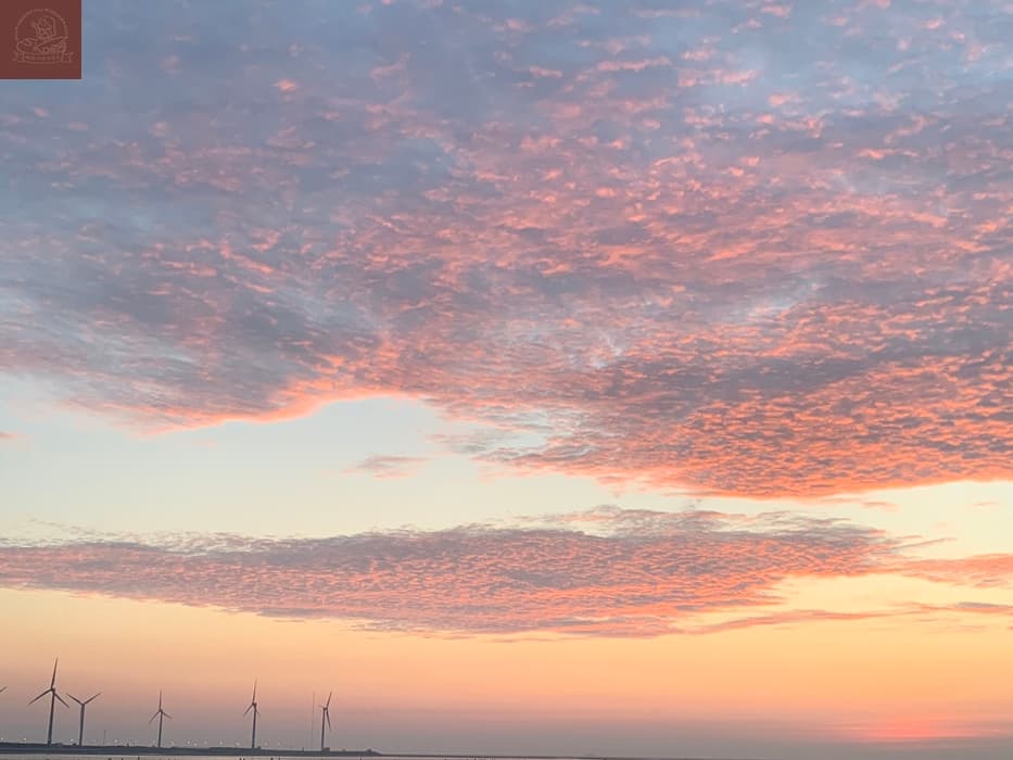 高美濕地附近景點
