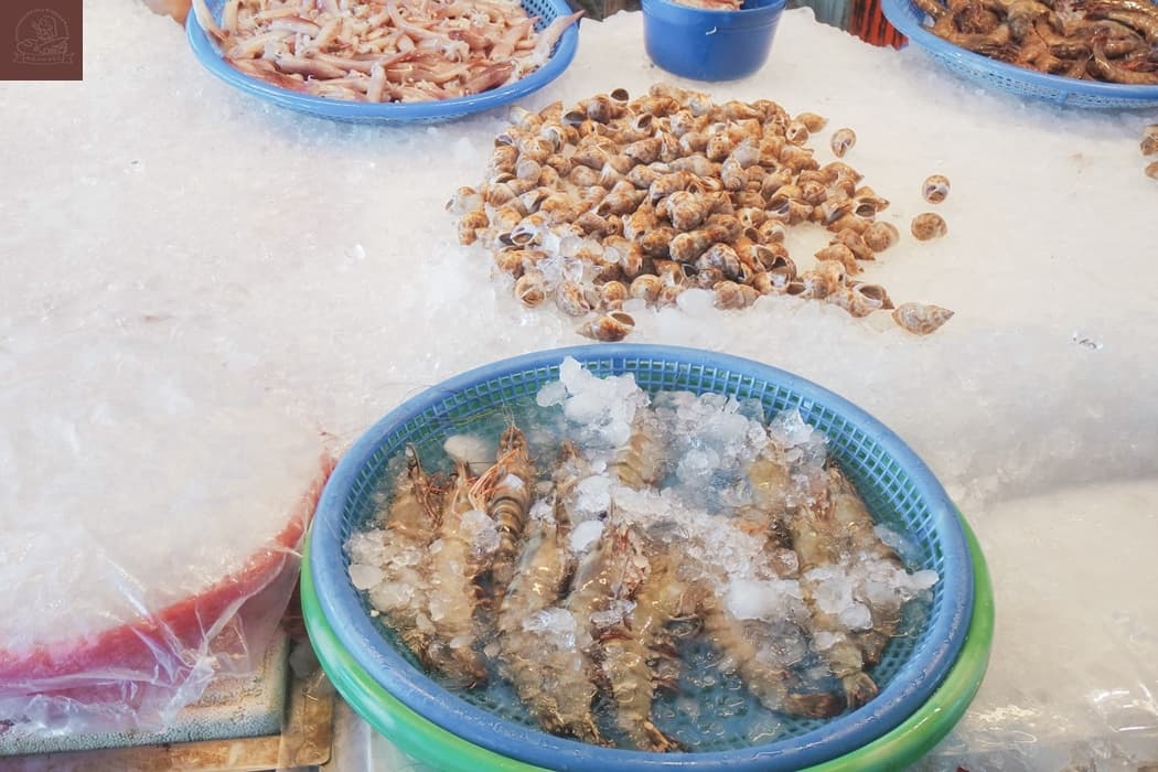 高美濕地附近景點
