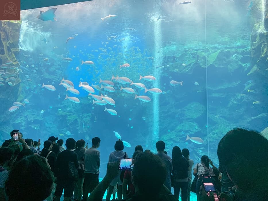 Xpark水族館介紹
