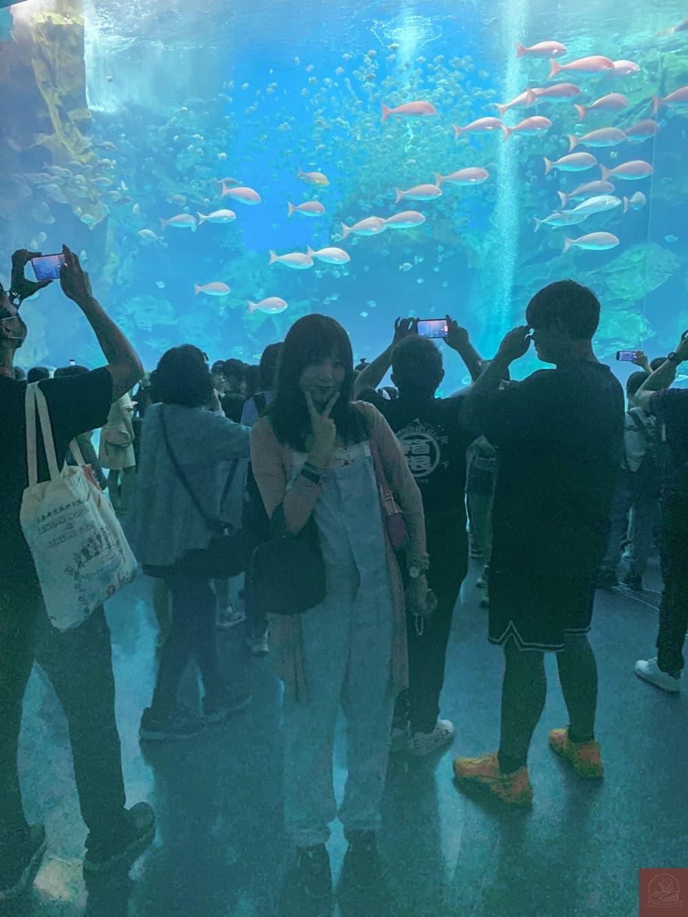 Xpark水族館介紹
