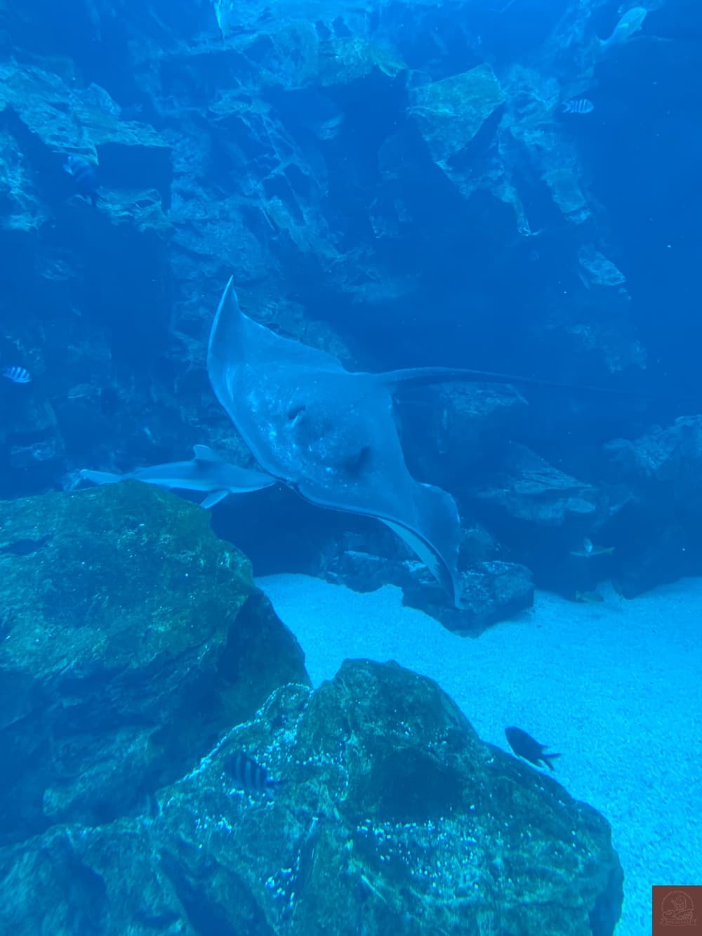 Xpark水族館介紹