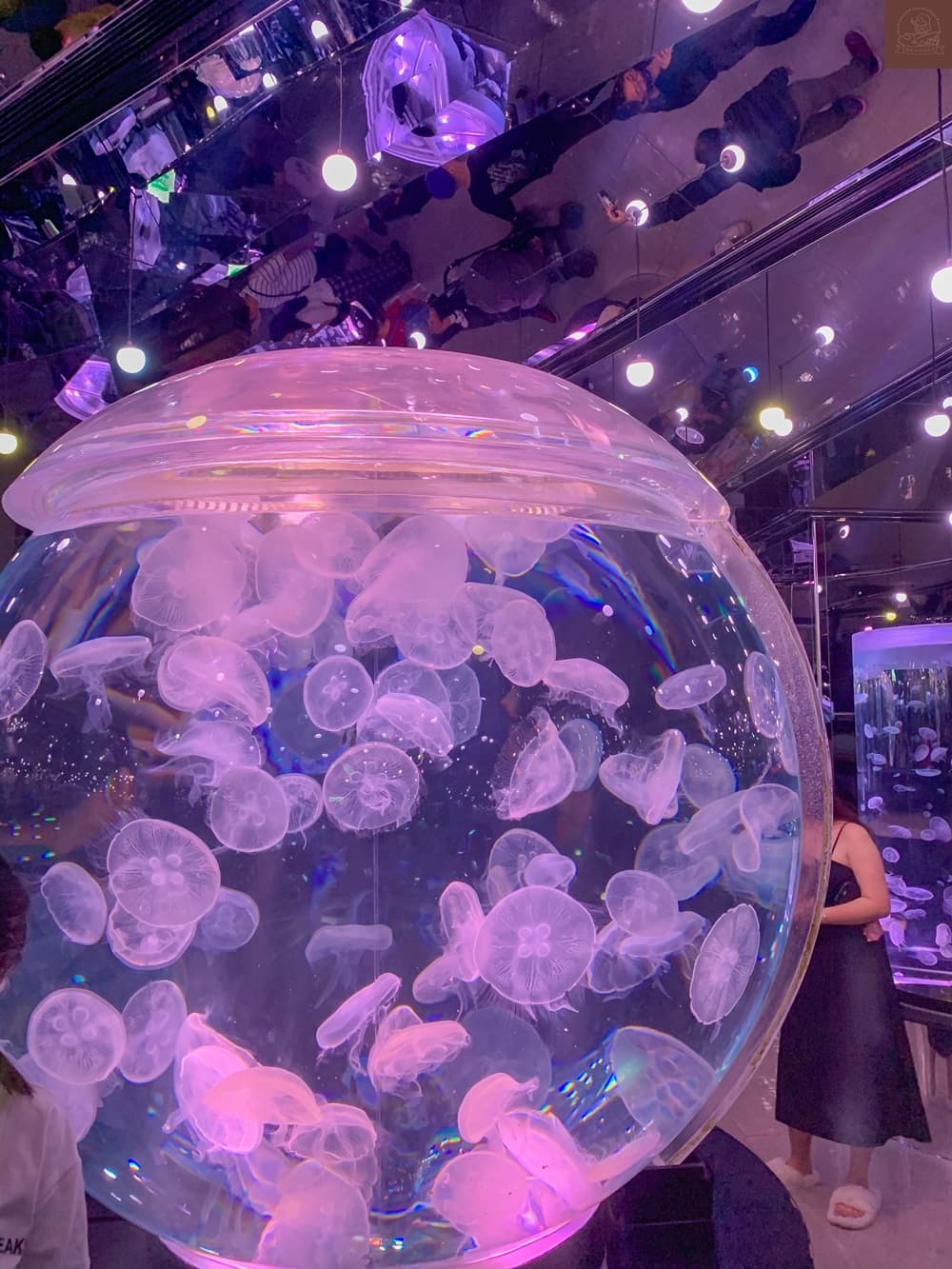 Xpark水族館介紹