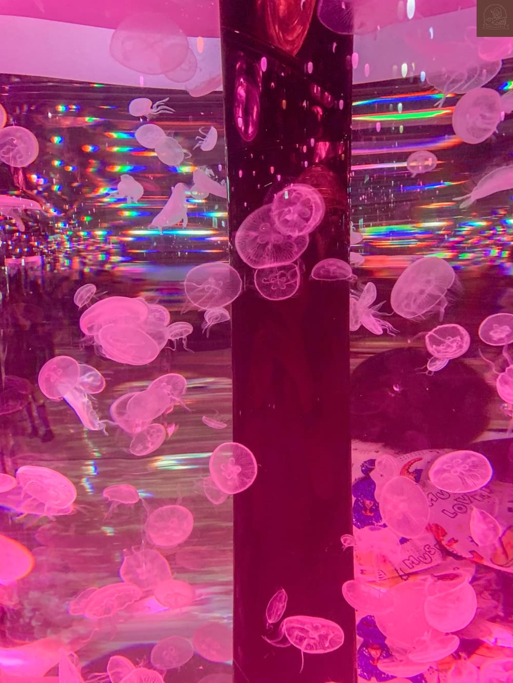 Xpark水族館介紹