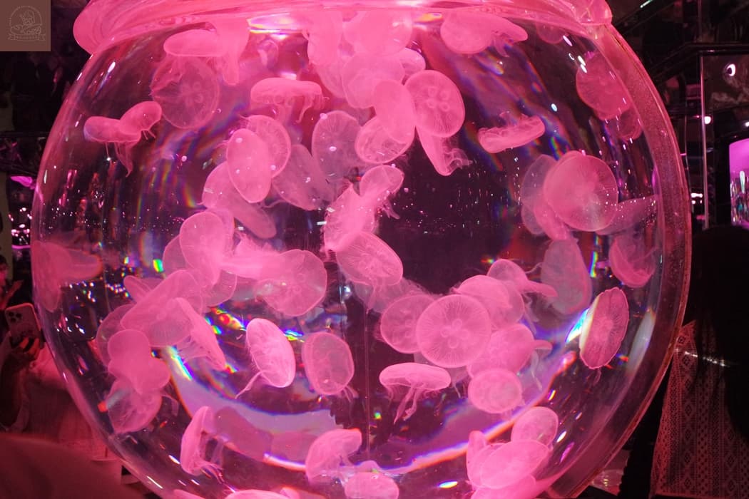 Xpark水族館介紹