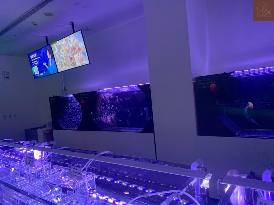 Xpark水族館介紹