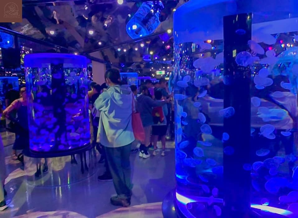 Xpark水族館介紹