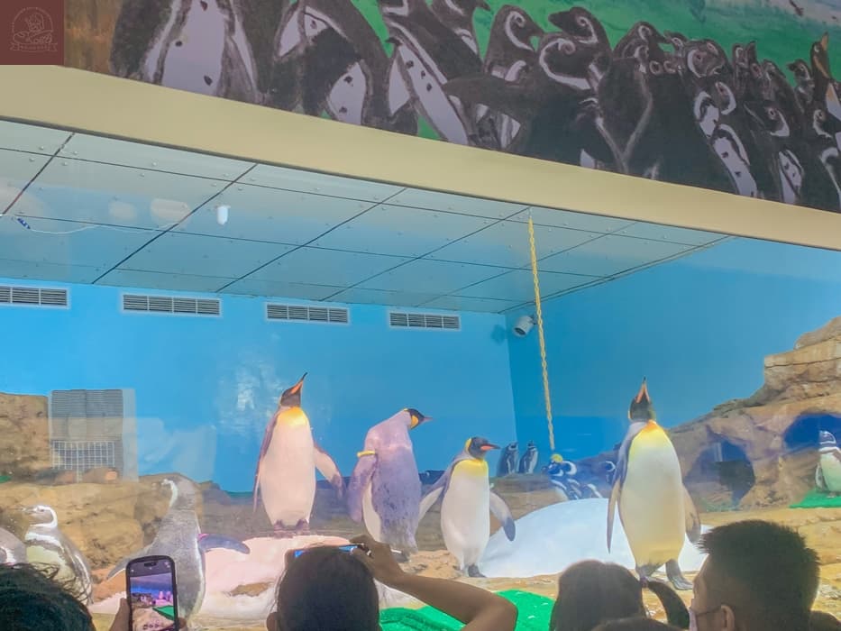 Xpark水族館介紹