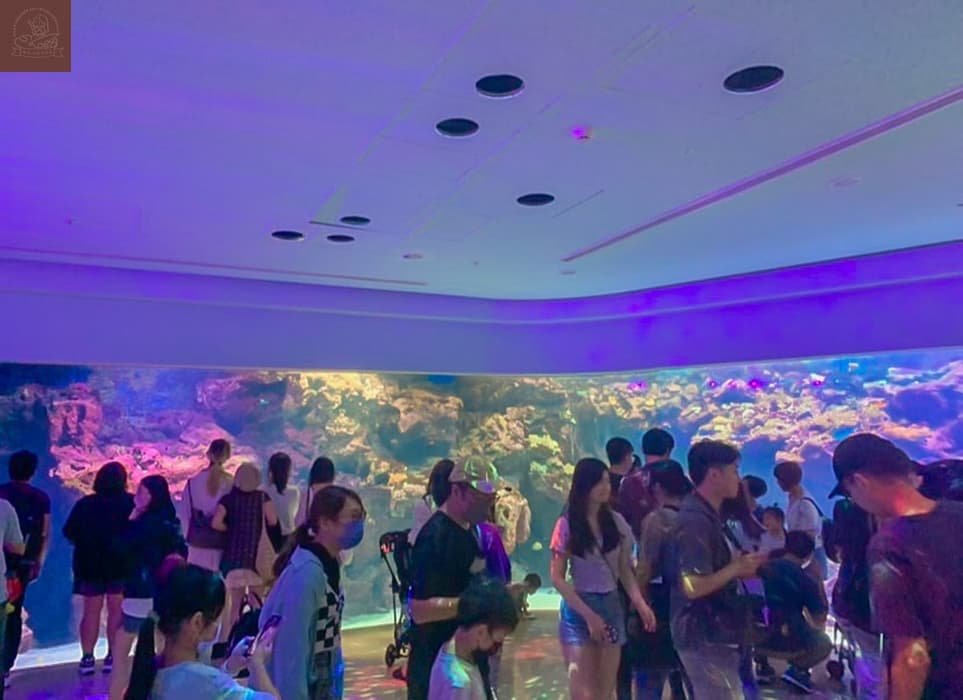 Xpark水族館介紹