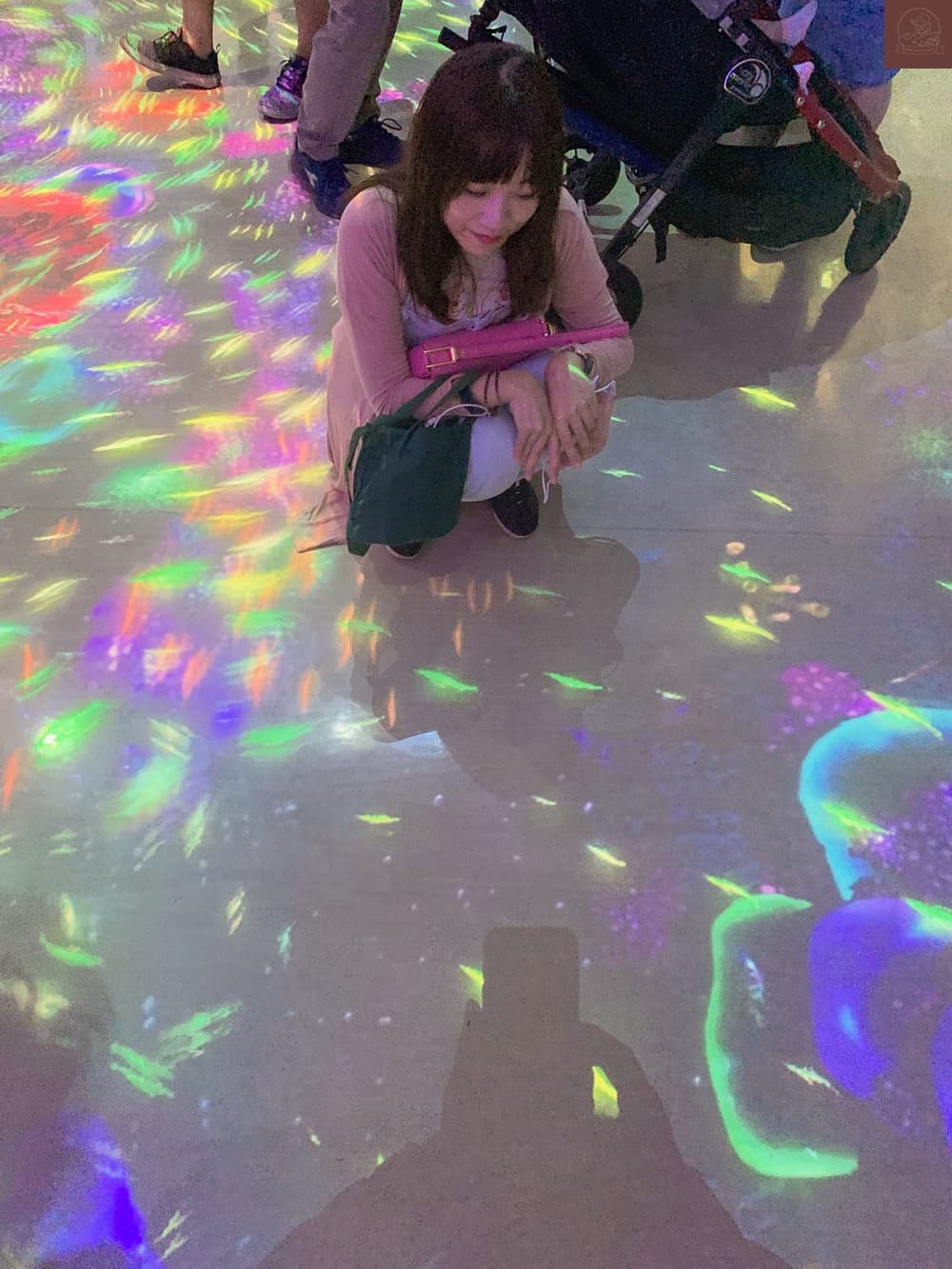 Xpark水族館介紹