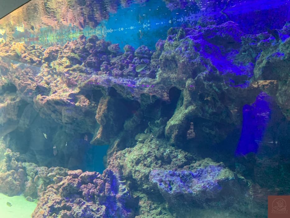 Xpark水族館介紹