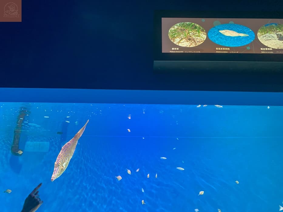 Xpark水族館介紹