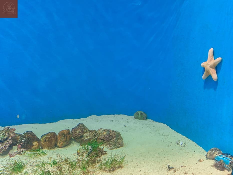 Xpark水族館介紹