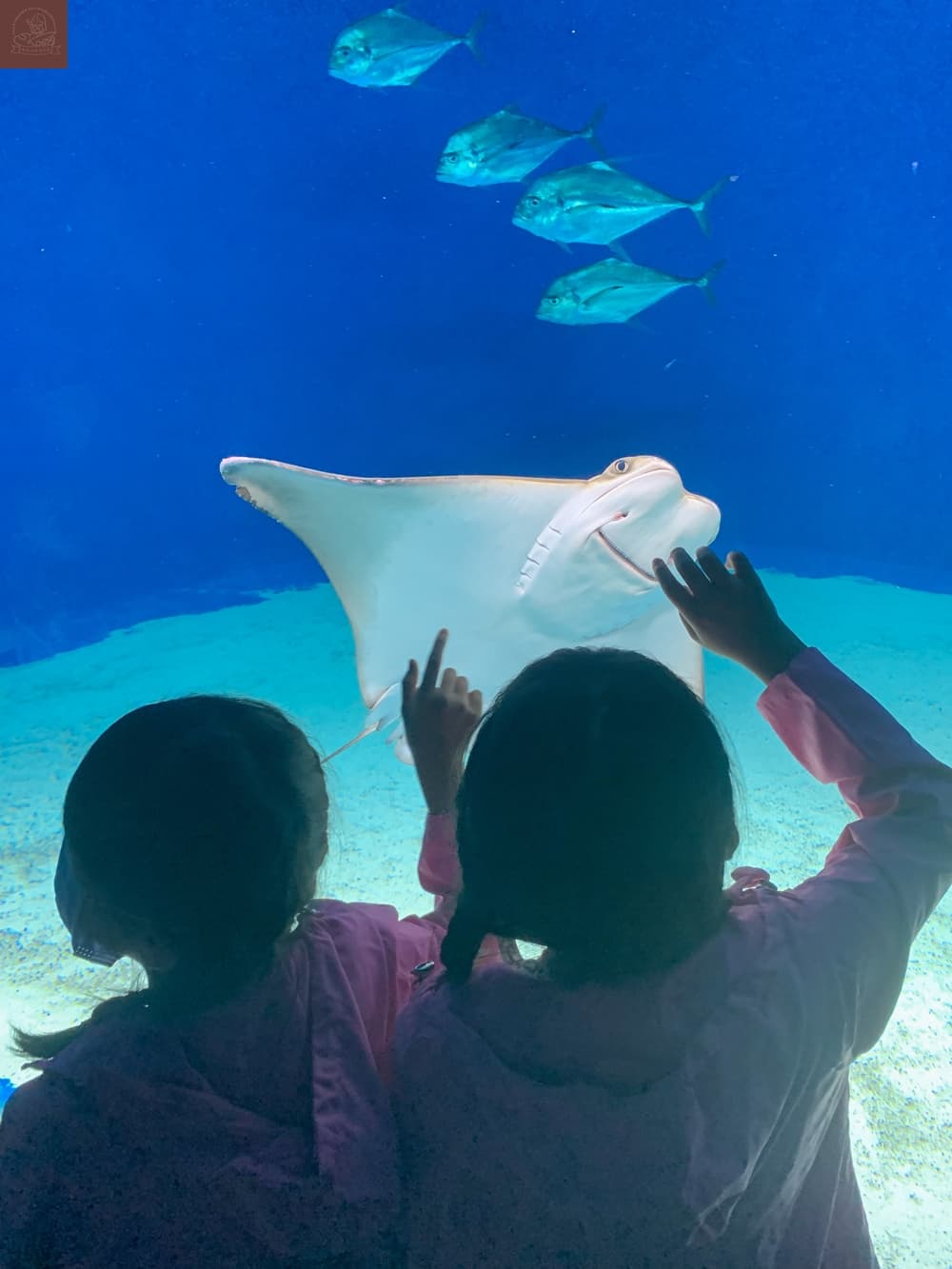 Xpark水族館介紹