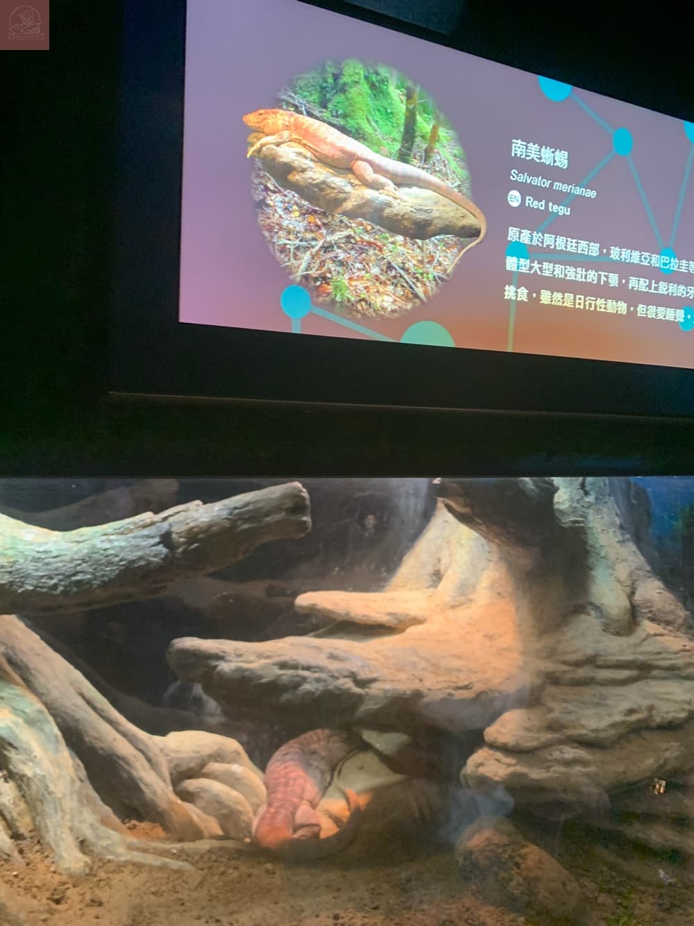 Xpark水族館介紹
