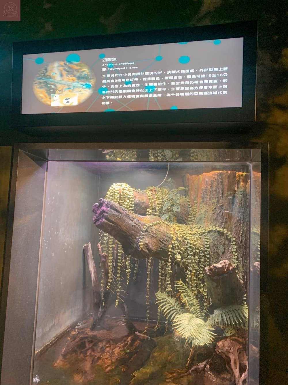 Xpark水族館介紹