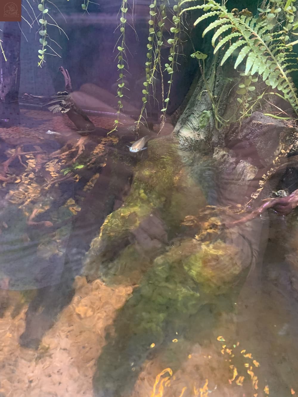 Xpark水族館介紹