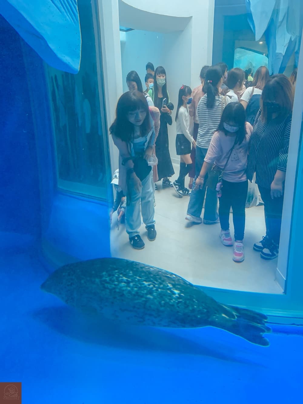 Xpark水族館介紹