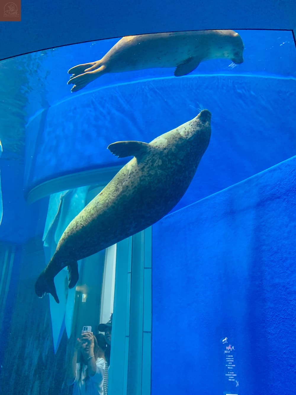 Xpark水族館介紹
