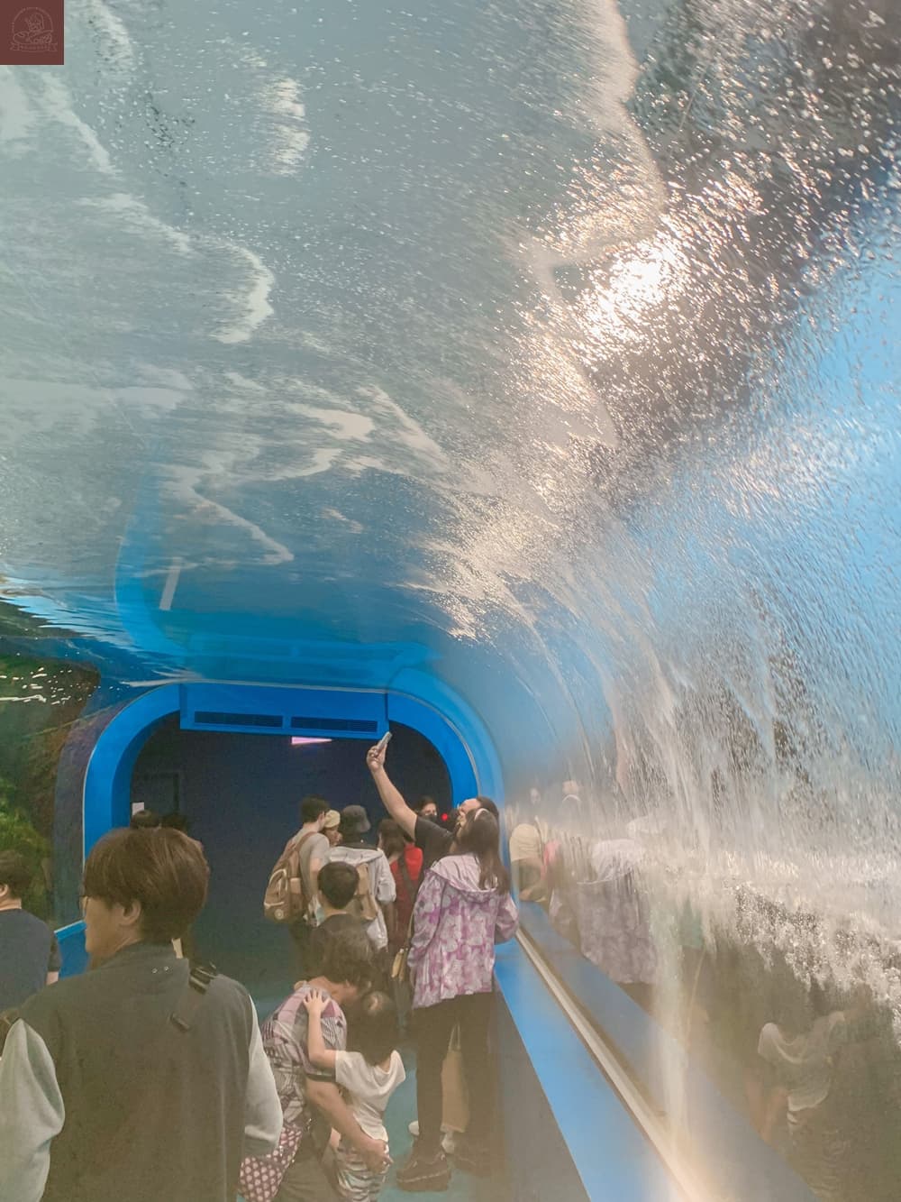 Xpark水族館介紹