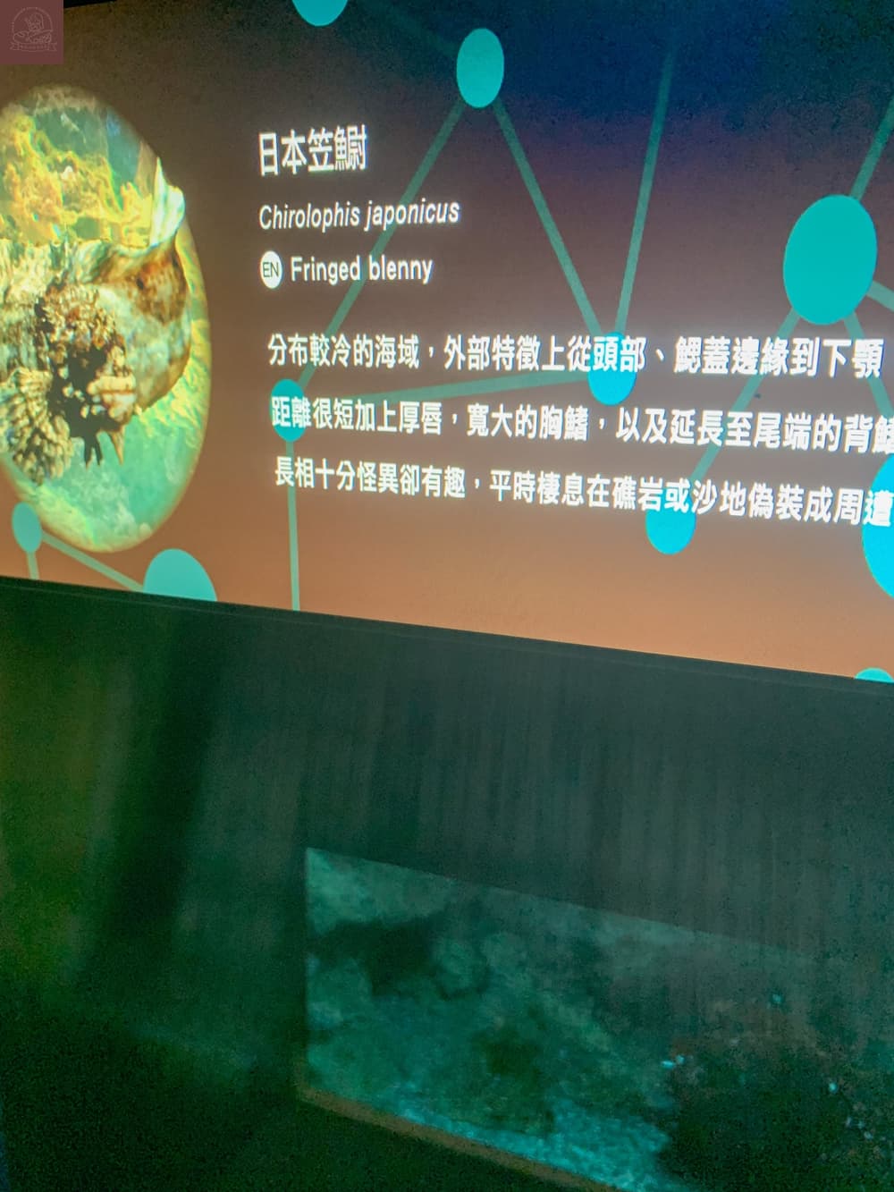 Xpark水族館介紹