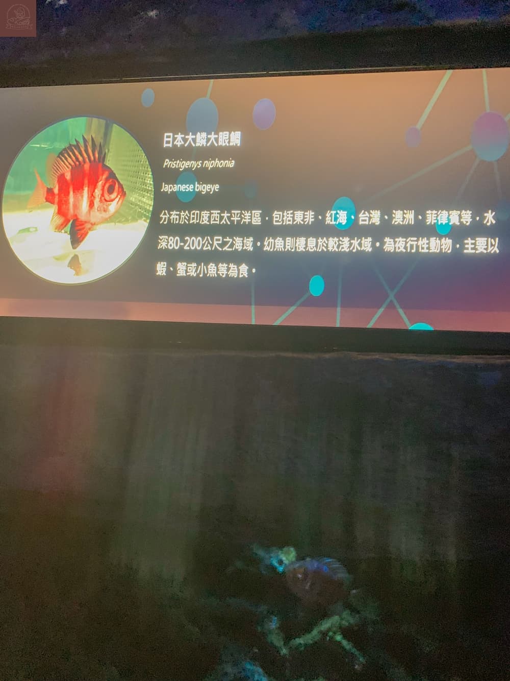 Xpark水族館介紹