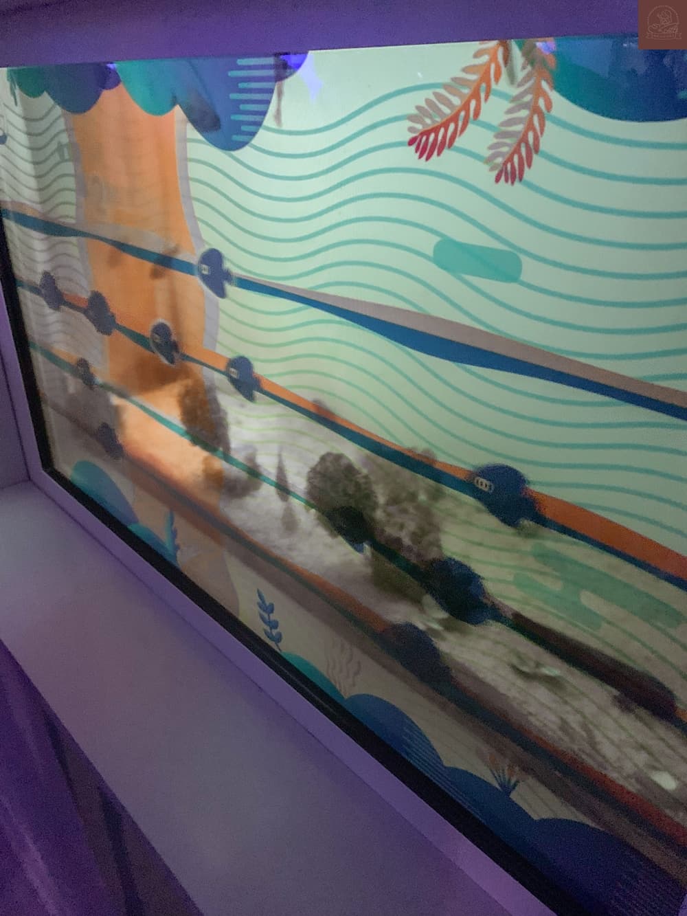 Xpark水族館介紹