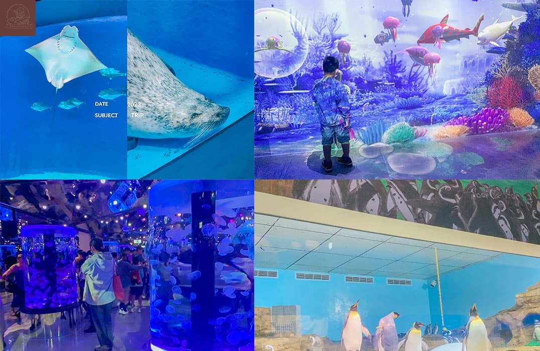 Xpark水族館