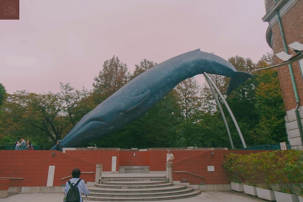 上野國立科學博物館