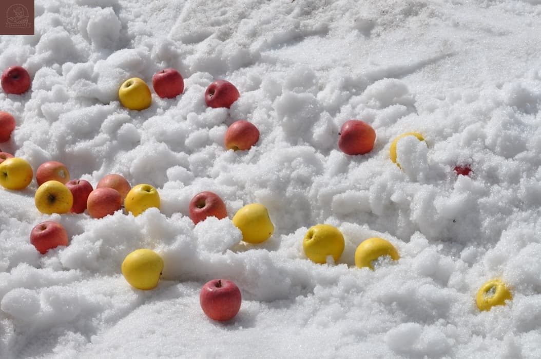 朝日町深度微旅