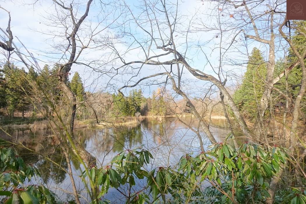 日本東北必去景點