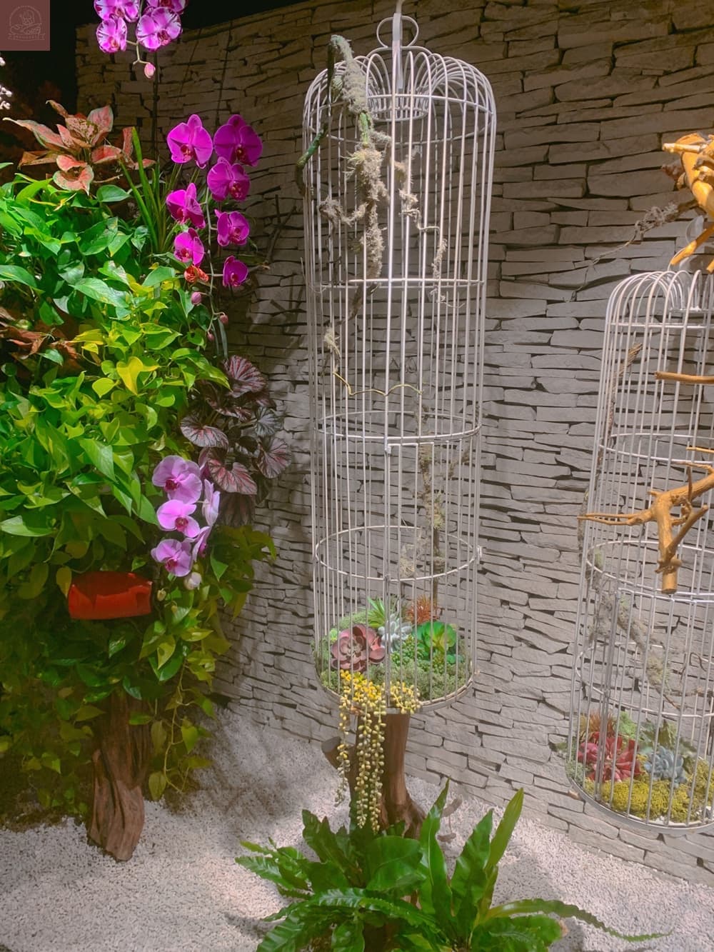 春水堂人文茶館國美店