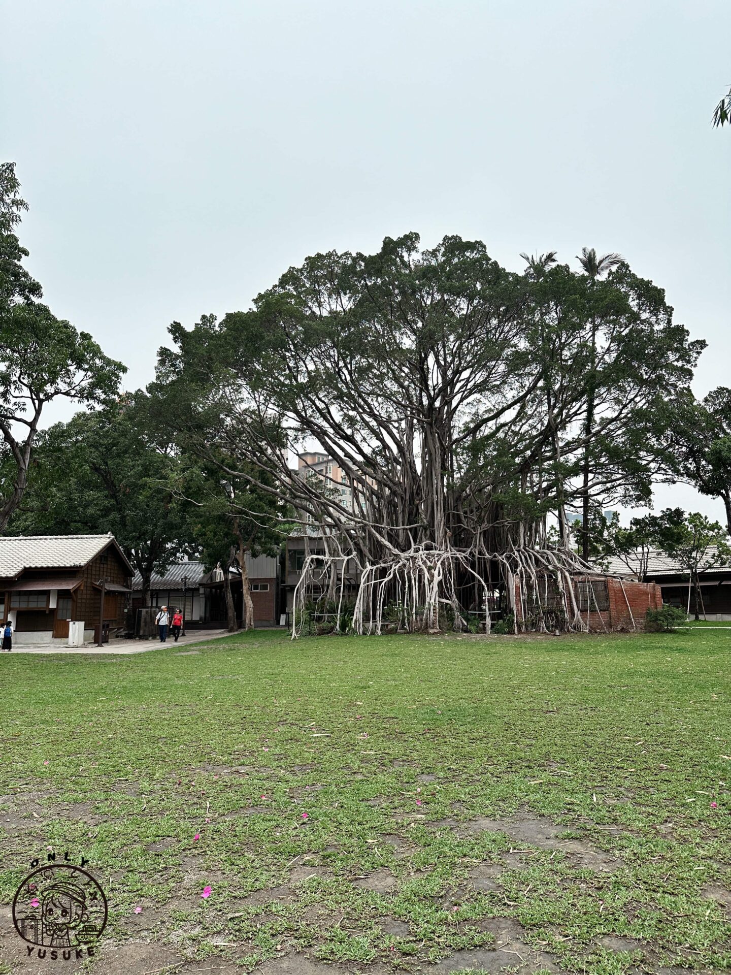國家漫畫博物館園區介紹