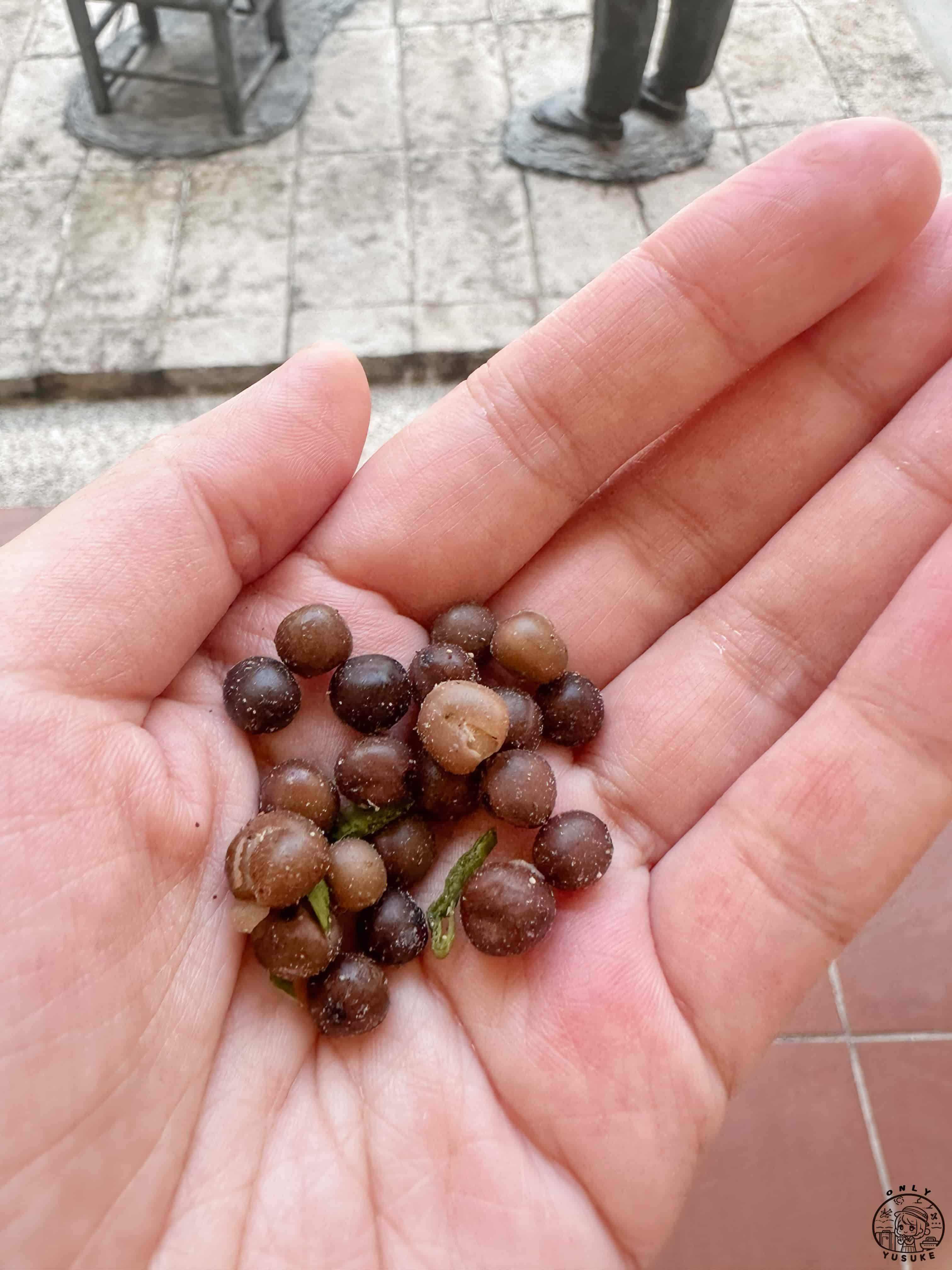 名間松柏嶺受天宮