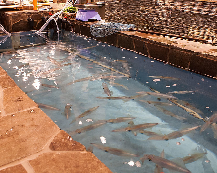 河太郎 博多站店