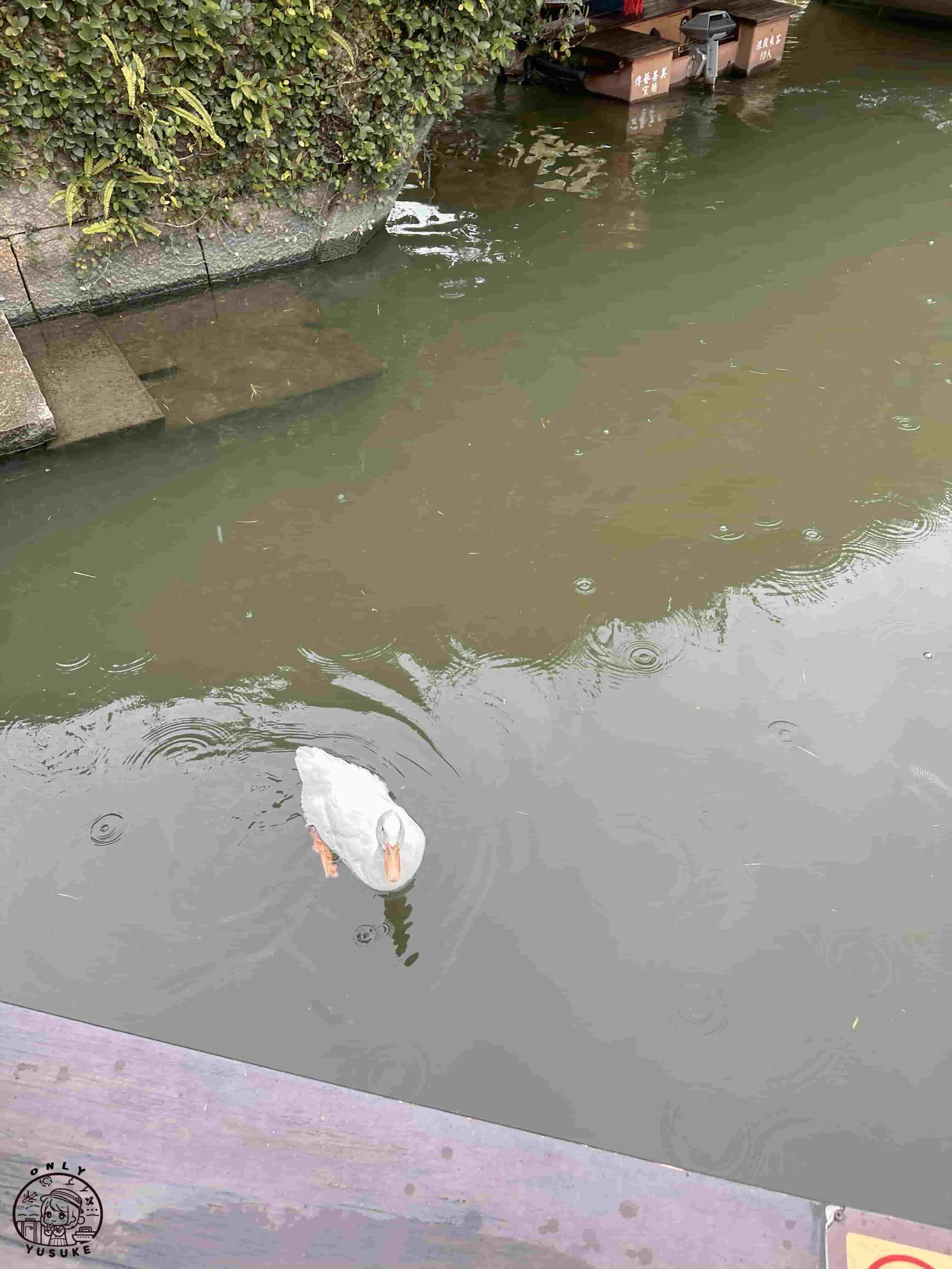 宜蘭傳藝中心必逛