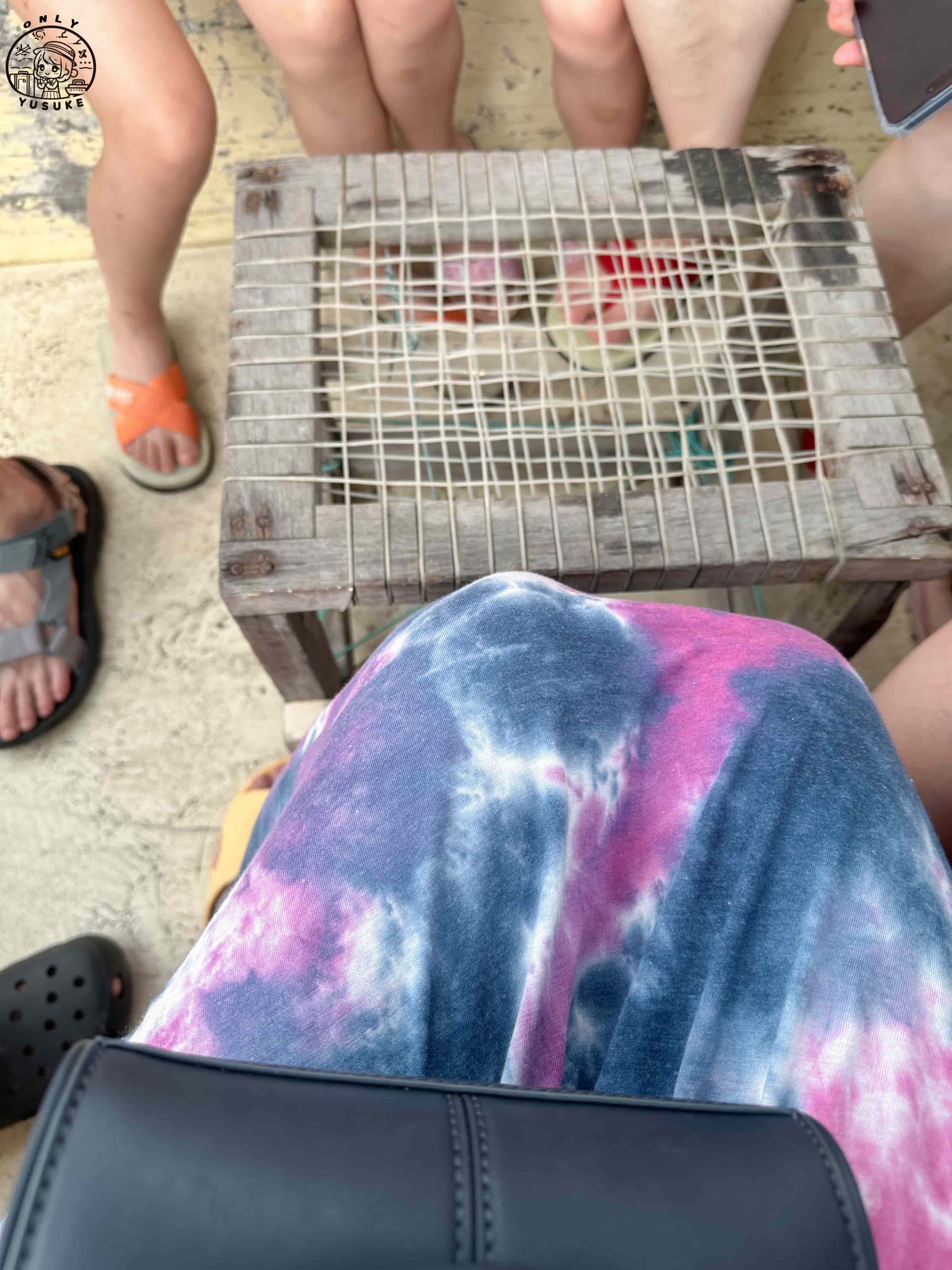 王功ㄚ瑋觀光採蚵車