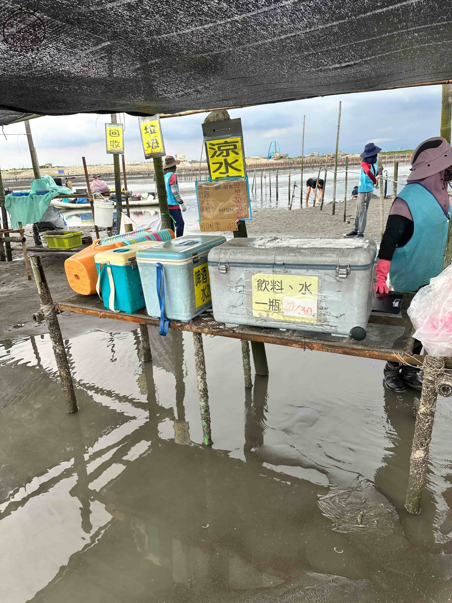 王功ㄚ瑋觀光採蚵車