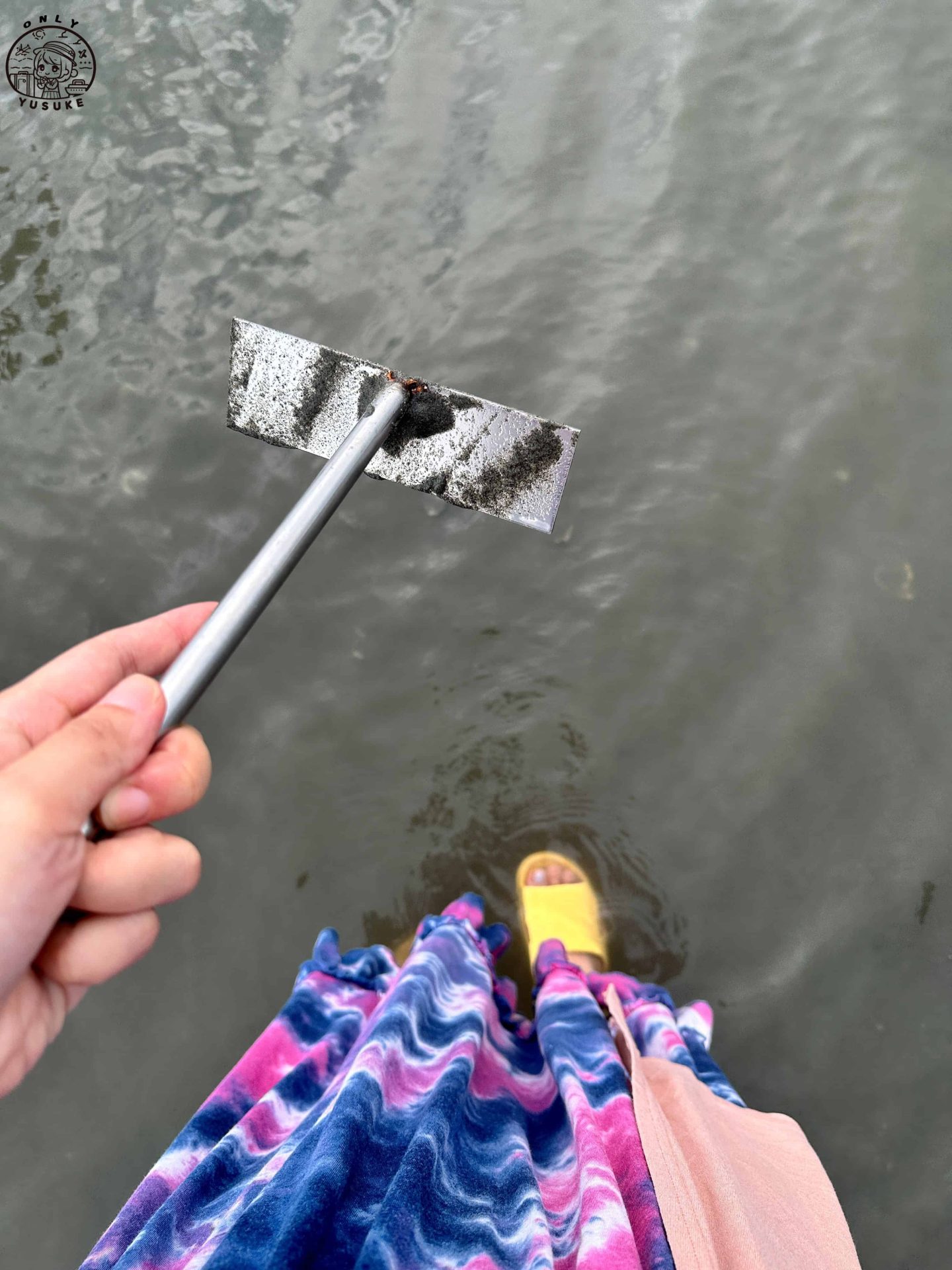 王功ㄚ瑋觀光採蚵車