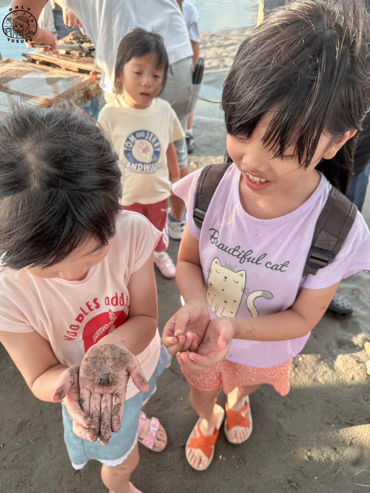 王功ㄚ瑋觀光採蚵車