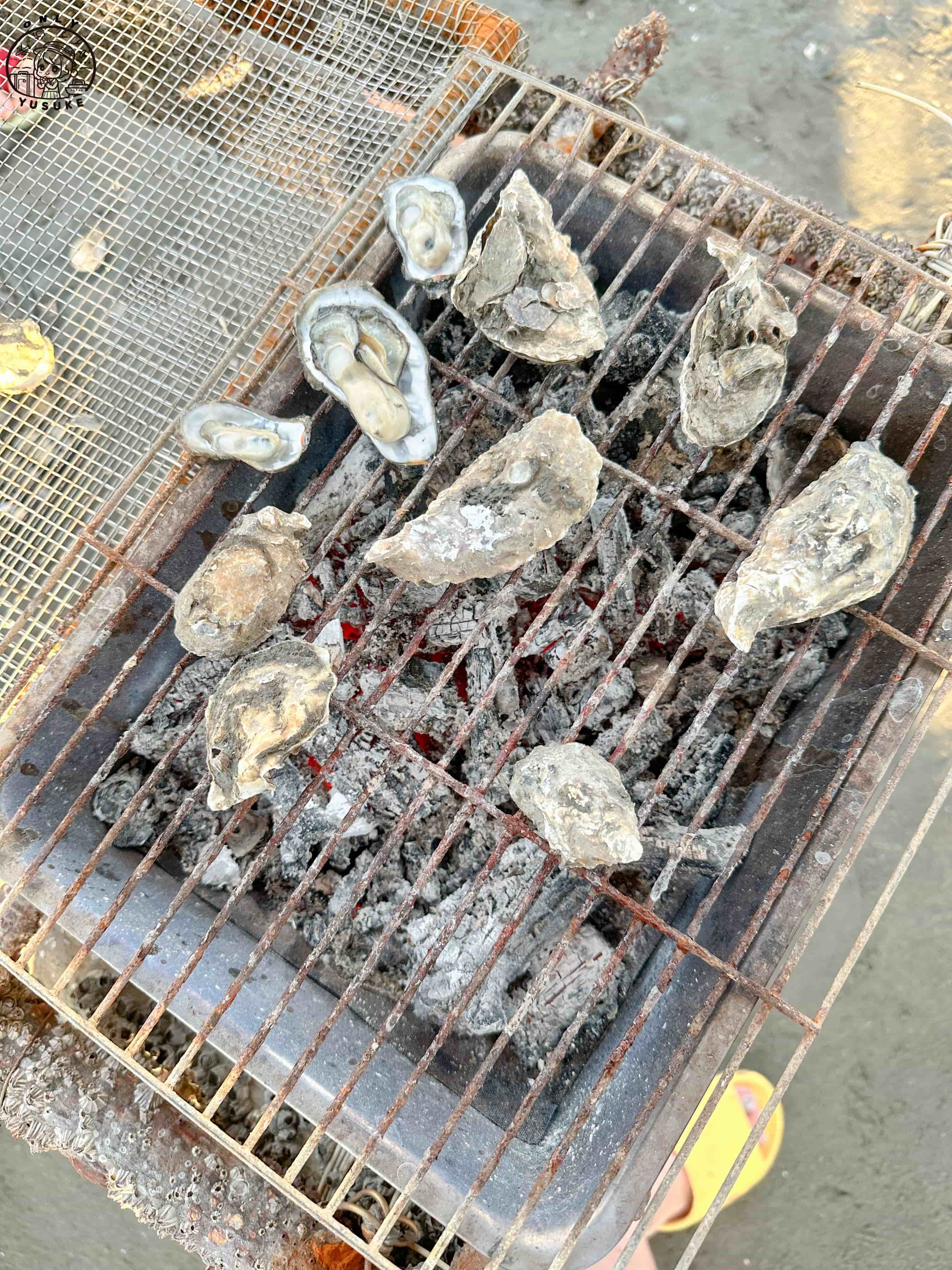 王功ㄚ瑋採蚵車